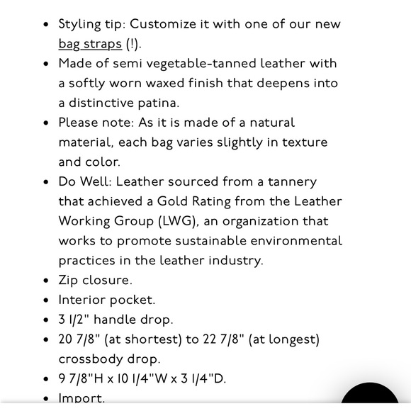 Madewell zip-top transport tote AND braided leather strap! - Picture 15 of 16